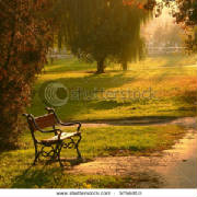 stock-photo-a-red-bench-in-the-park-at-sunset-5766010.jpg