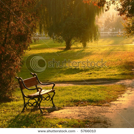 stock-photo-a-red-bench-in-the-park-at-sunset-5766010.jpg